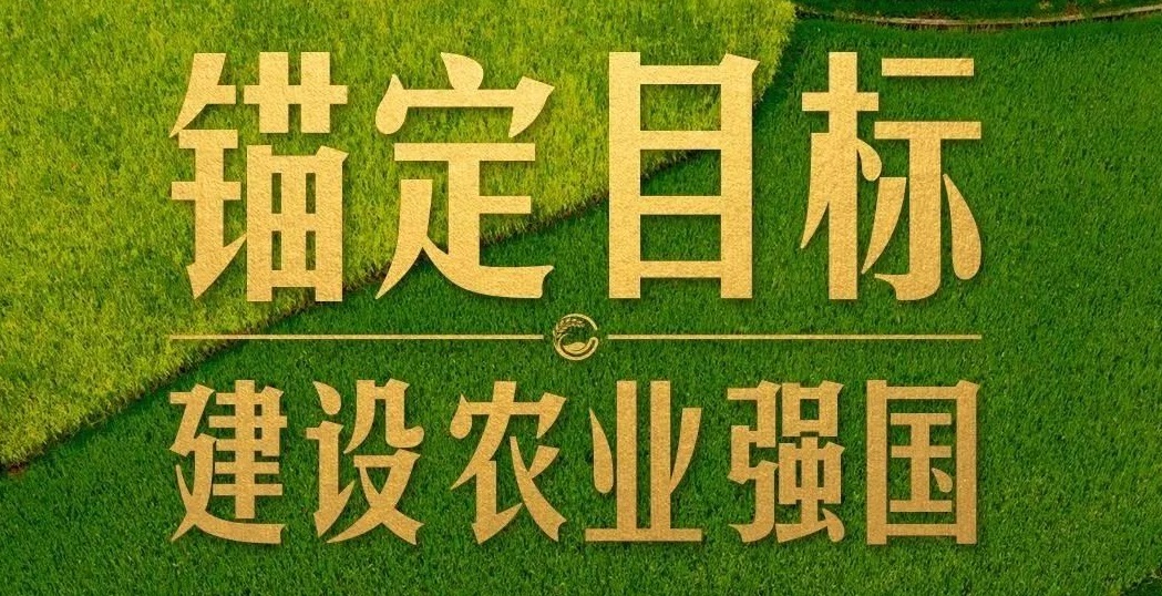 點燃現代農業(yè)創(chuàng)新引擎，釋放農業(yè)領域新質生產力